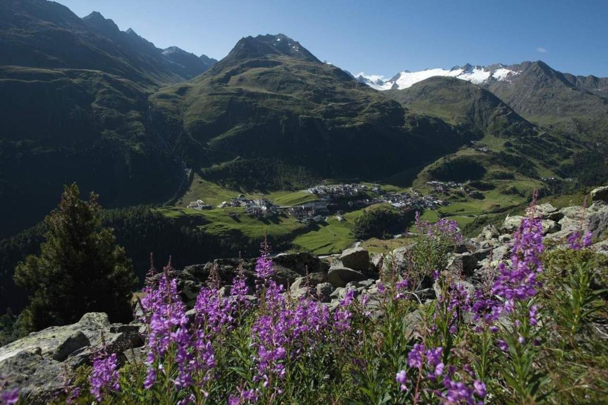 Wendlhof Pensión *